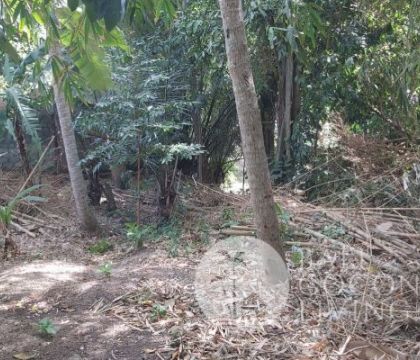 Land For Rent, 7 Are 