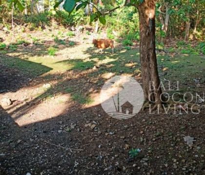 For sale, 865 sqm land