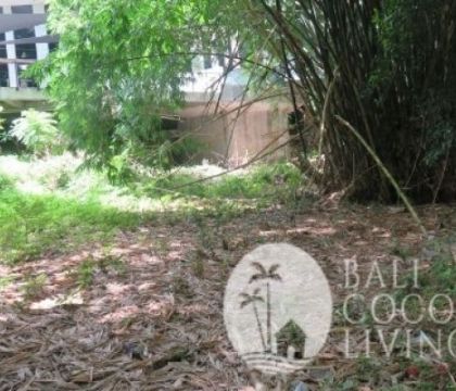 Land for lease 8,3 are