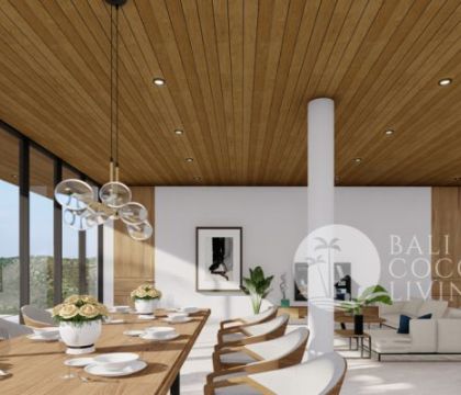 The Millennial Villa 3