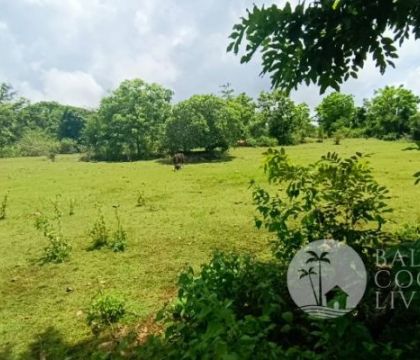 190 Are, Land for sale