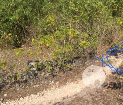 570 Sqm, Land for sale