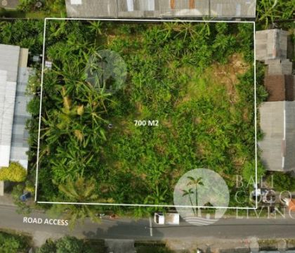 7 Are Land, For rent