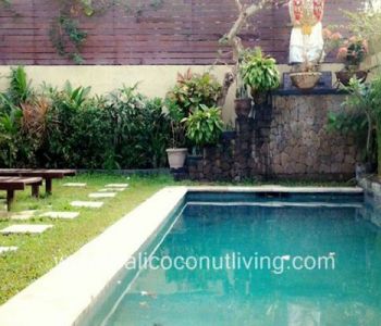 Villa Telaga Petitenget