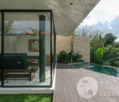 Villa Viyana 1