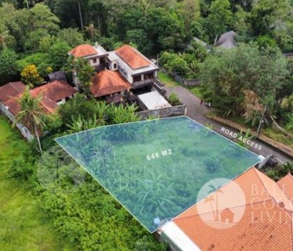 648 Land For Sale - Tabanan