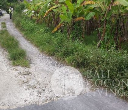 For sale, 10,15 are Land