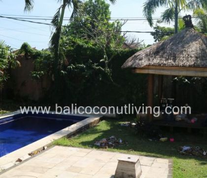 Villa Grapemint