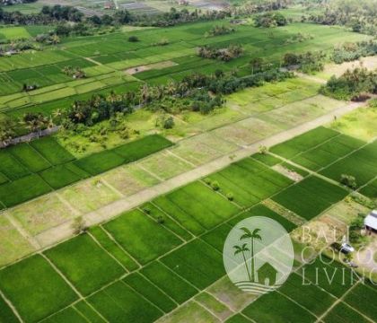 Land For Sale - Tabanan