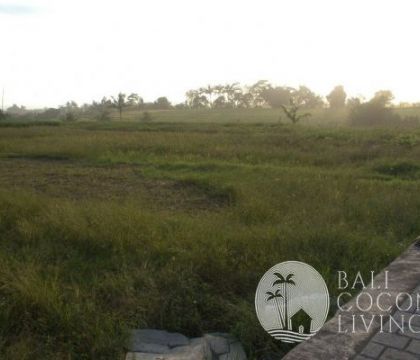 5 Are Land In Tabanan
