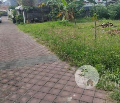 For rent, Lan 400 sqm