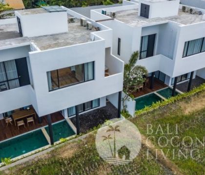 Modern Townhouse