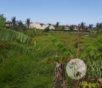 12,95 Are, Land for lease
