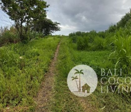10 Are Land  for sale