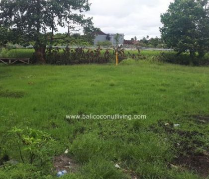 Land on Pererenan