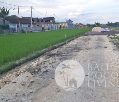 150-500 Sqm, Land for sale, Kerobokan
