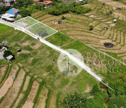 290 Sqm Land For Lease