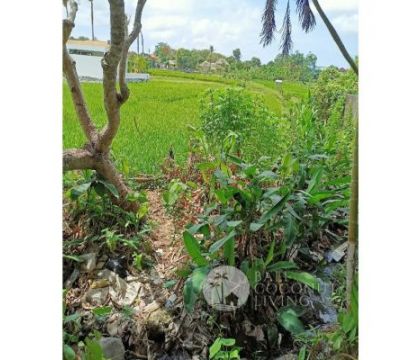 4,95 Are, land for rent