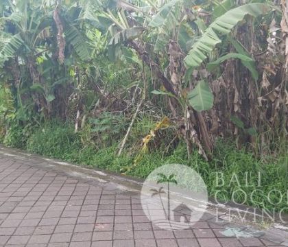 1420 Sqm, Land for sale