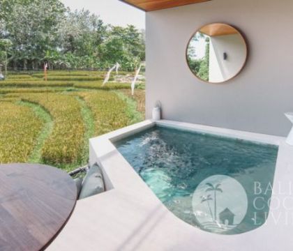 Pricilla Apartment C