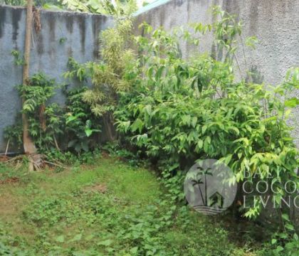 Rumah Raisin