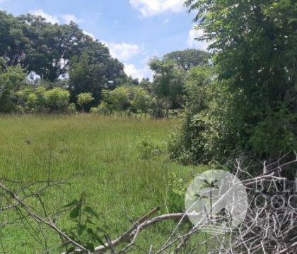 Land for sale, 800 sqm