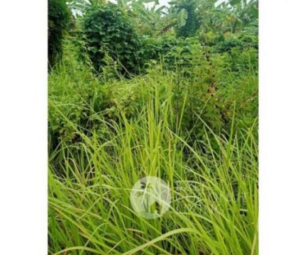 13,40 Are, Land for rent