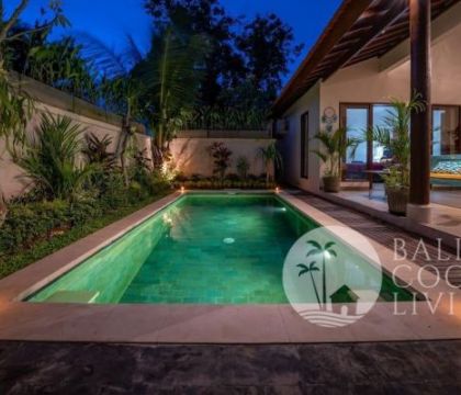Adorable Villa