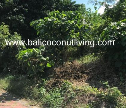 Land for sale 2,4 are-Umalas
