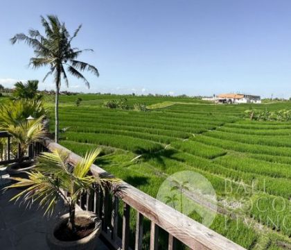 Villa Elemental