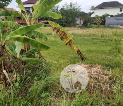 600 Sqm, Land For Lease