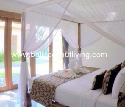 Villa Love