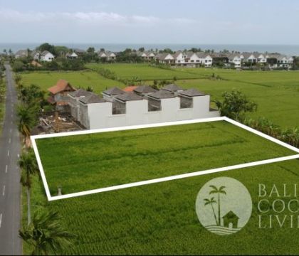 For rent, land 700 sqm