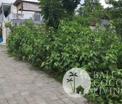 For sale, 6 Are-Land