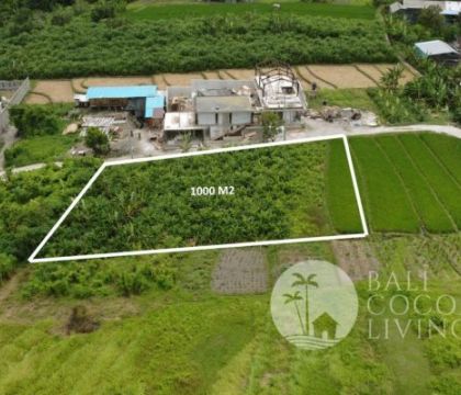 Land for sale, 10 Are