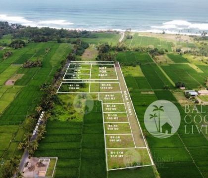 Land For Sale - Tabanan
