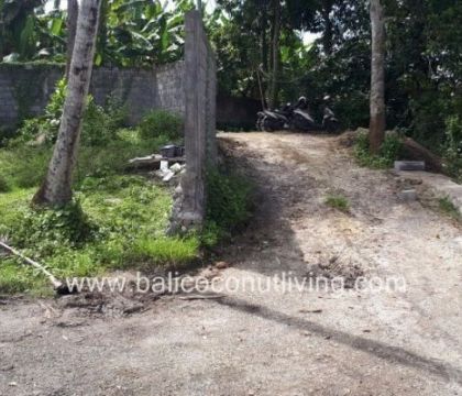 Land for lease 4 are