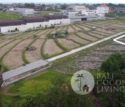 For rent, 560 sqm land