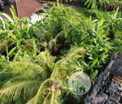 3 Are Land For Sale Leasehold