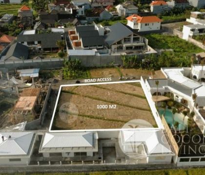 For rent, 1000 sqm Land