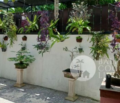 Rumah Pingkan