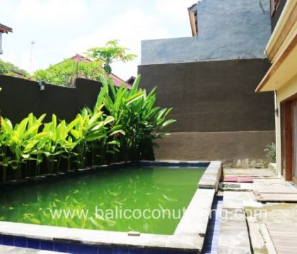 Villa Banana 2