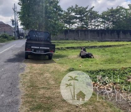 4000 Sqm, land for lease