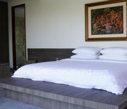 Villa Shiro