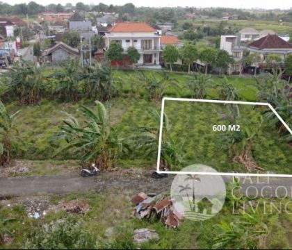 600 Sqm, land for sale