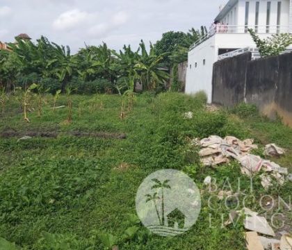 4 Are, Land for rent