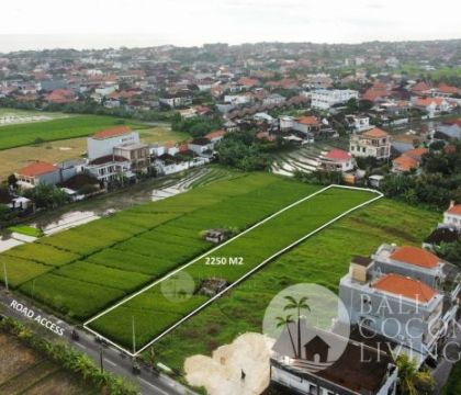 2250 Sqm, Land for lease