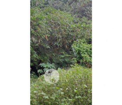 1000sqm land, For rent