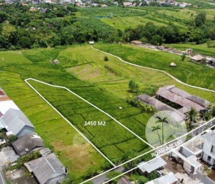 14,50 Are land, For lease