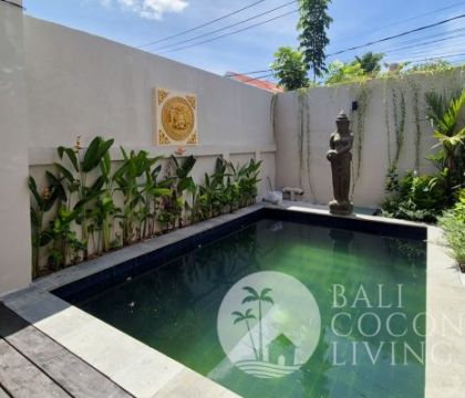 Villa Canca 2